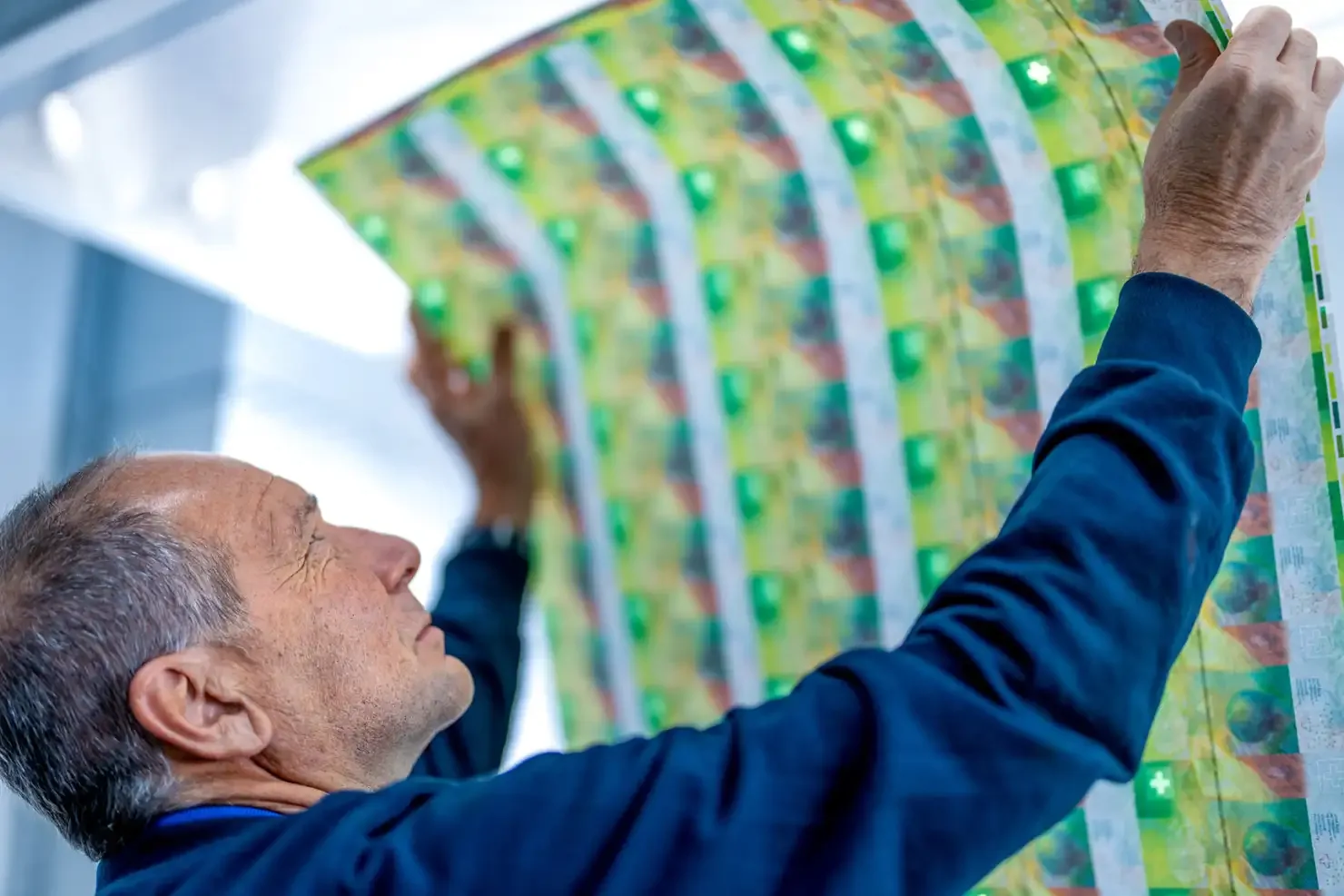 A printer checks a sheet of banknotes